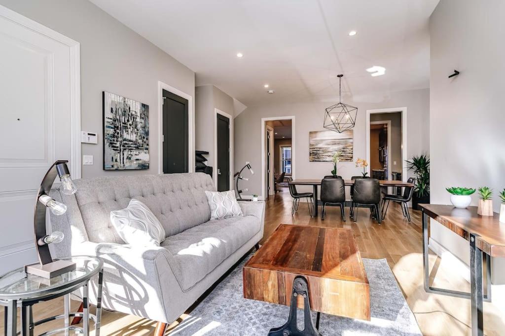 Immaculate Brand New Downtown Apartment Chicago